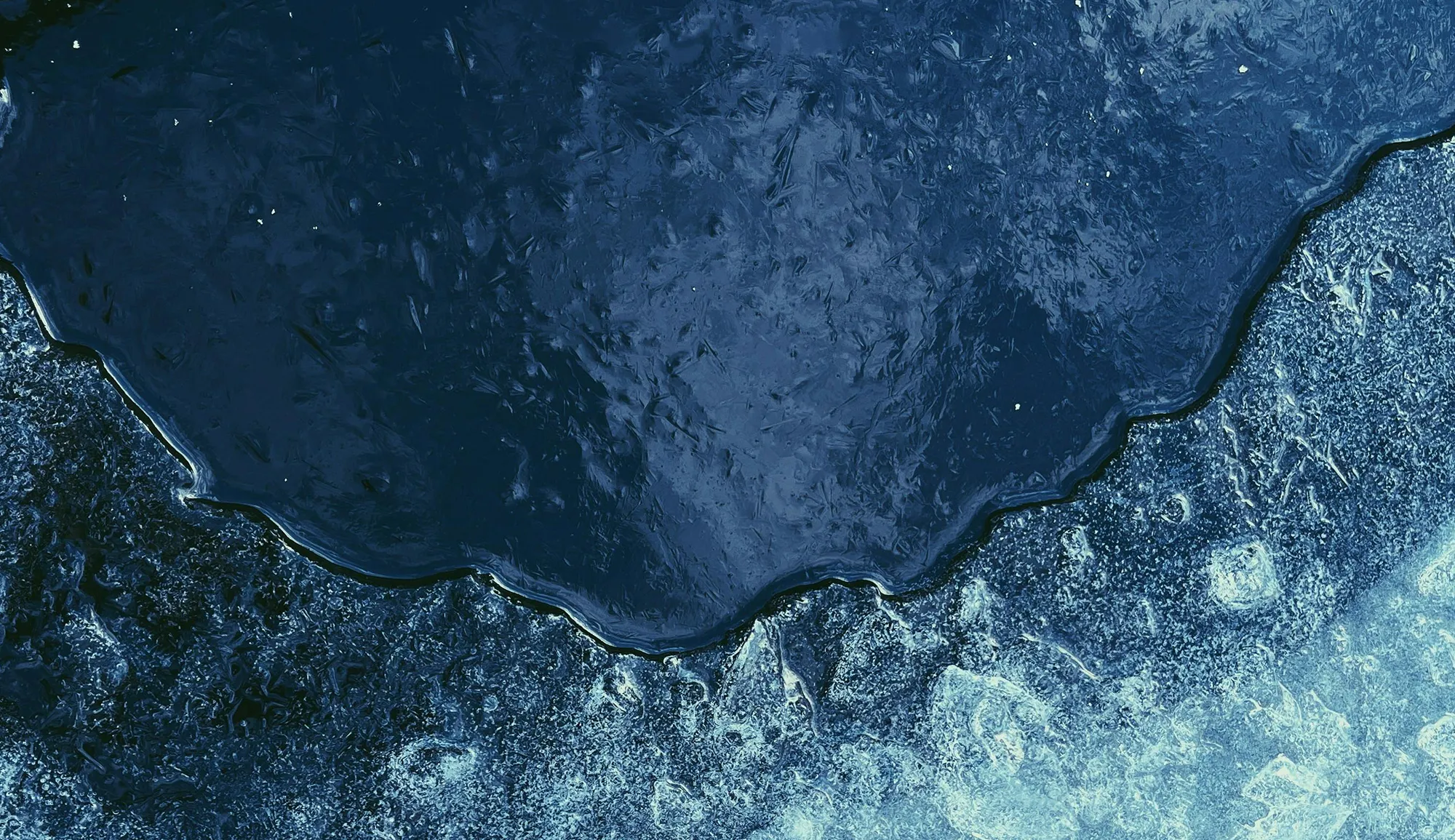 Peuplement forestier - poésies